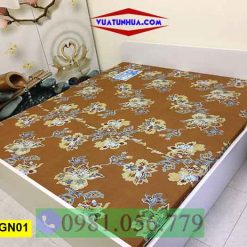 Giường ngủ bằng nhựa kiểu bệt GN01