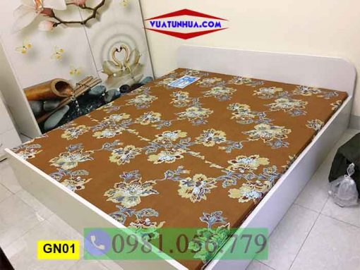 Giường ngủ bằng nhựa kiểu bệt GN01