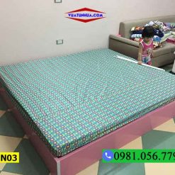 Giường ngủ nhựa Đài Loan không tựa GN03