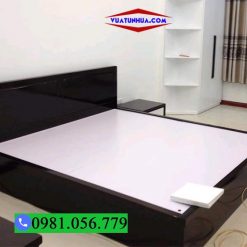 Giường ngủ nhựa Đài Loan kiểu bệt GN05