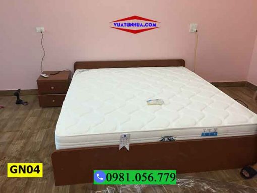 Giường ngủ nhựa cỡ lớn GN04