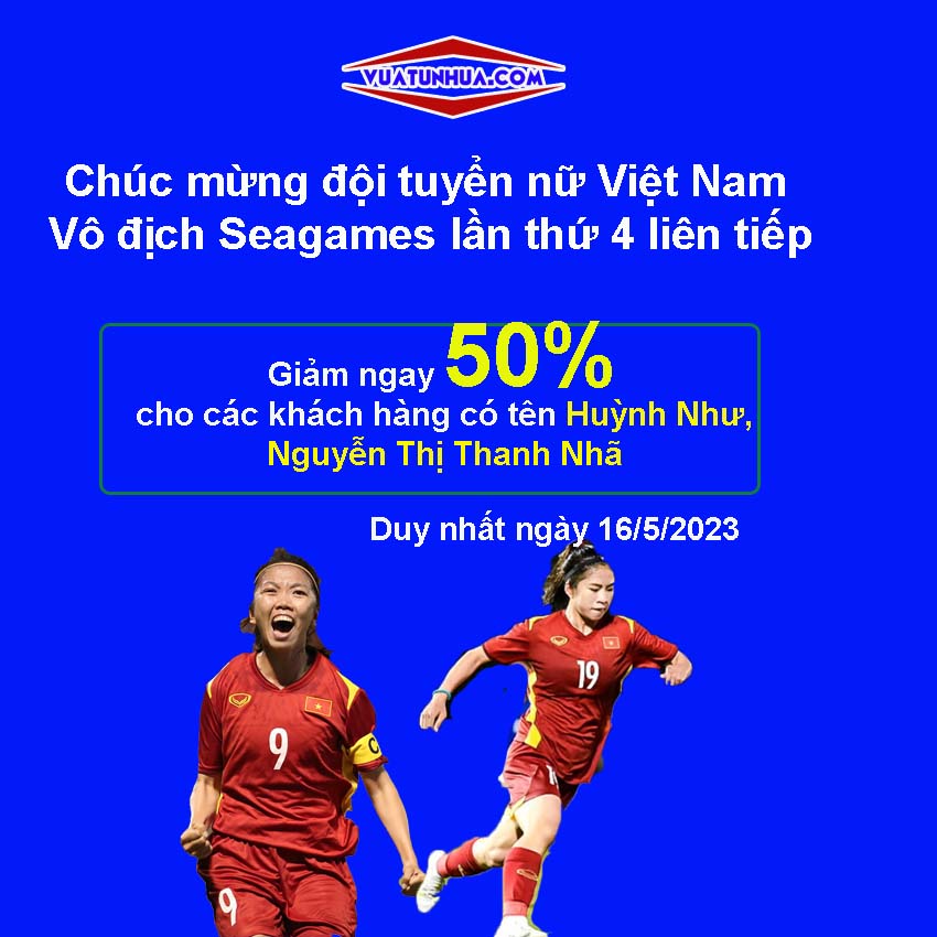 chuc-mung-nu-Viet-Nam-vo-dich-Seagames-lan-thu-4